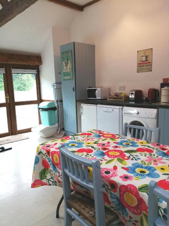 Killarney Saoirse Cottage ภายนอก รูปภาพ